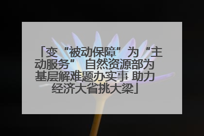 变“被动保障”为“主动服务” 自然资源部为基层解难题办实事 助力经济大省挑大梁