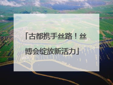 古都携手丝路！丝博会绽放新活力