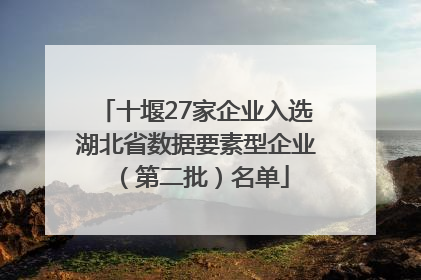 十堰27家企业入选湖北省数据要素型企业（第二批）名单