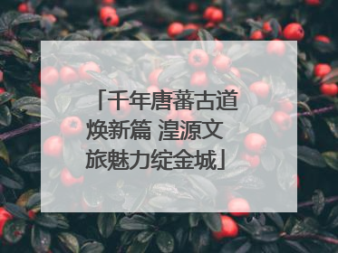 千年唐蕃古道焕新篇 湟源文旅魅力绽金城