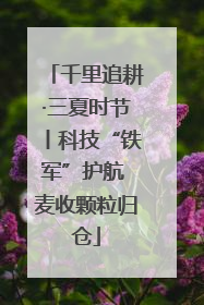 千里追耕·三夏时节丨科技“铁军”护航 麦收颗粒归仓