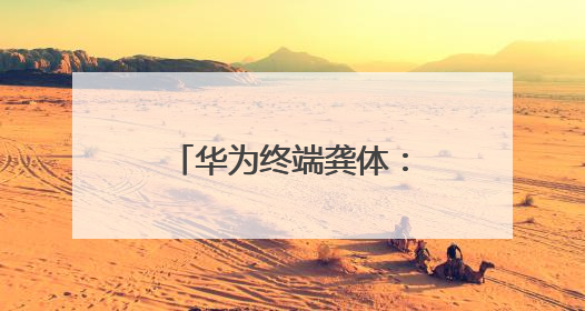 华为终端龚体：鸿蒙开启高效智能开发新时代