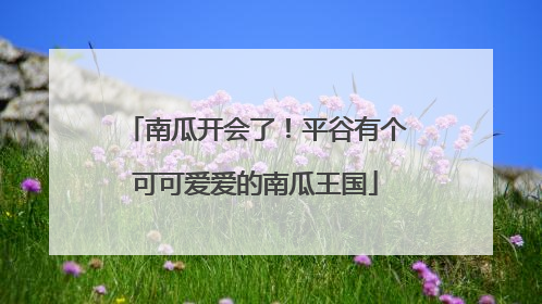南瓜开会了！平谷有个可可爱爱的南瓜王国