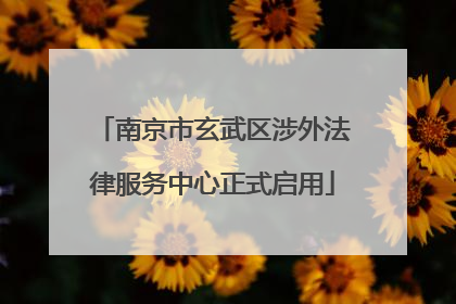 南京市玄武区涉外法律服务中心正式启用