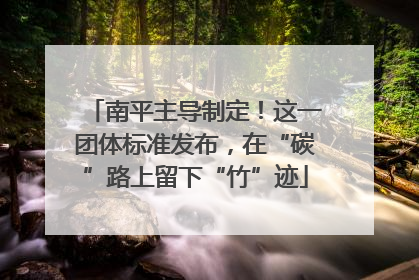 南平主导制定！这一团体标准发布，在“碳”路上留下“竹”迹