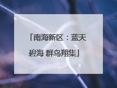 南海新区：蓝天碧海 群鸟翔集