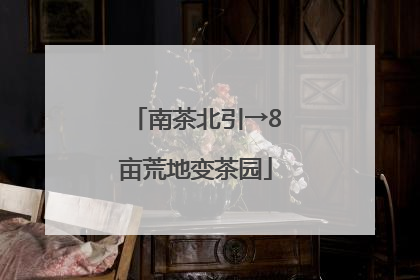 南茶北引→8亩荒地变茶园