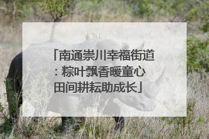 南通崇川幸福街道：粽叶飘香暖童心 田间耕耘助成长