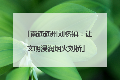 南通通州刘桥镇：让文明浸润烟火刘桥