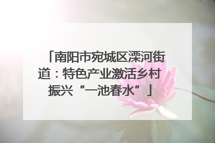 南阳市宛城区溧河街道：特色产业激活乡村振兴“一池春水”