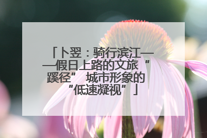 卜翌：骑行滨江——假日上路的文旅“蹊径” 城市形象的“低速凝视”