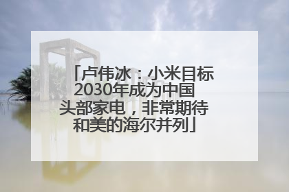 卢伟冰：小米目标2030年成为中国头部家电，非常期待和美的海尔并列