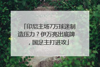 印尼主场7万球迷制造压力？伊万亮出底牌，国足主打进攻