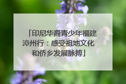 印尼华裔青少年福建漳州行：感受祖地文化和侨乡发展脉搏