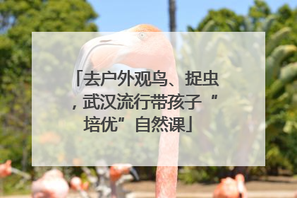 去户外观鸟、捉虫，武汉流行带孩子“培优”自然课