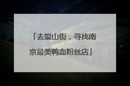 去望山街，寻找南京最美鸭血粉丝店