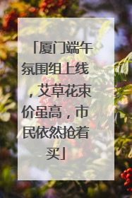 厦门端午氛围组上线，艾草花束价虽高，市民依然抢着买