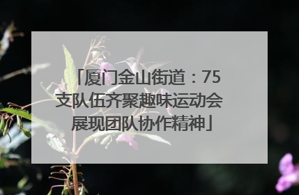 厦门金山街道：75支队伍齐聚趣味运动会 展现团队协作精神