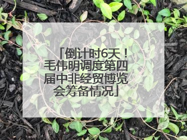 倒计时6天！毛伟明调度第四届中非经贸博览会筹备情况