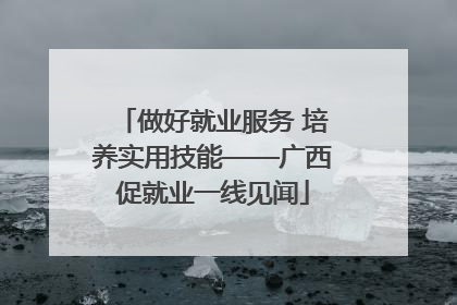 做好就业服务 培养实用技能——广西促就业一线见闻