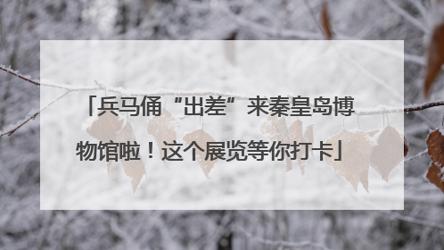 兵马俑“出差”来秦皇岛博物馆啦！这个展览等你打卡
