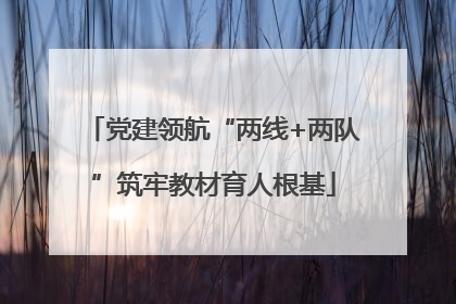 党建领航“两线+两队”筑牢教材育人根基