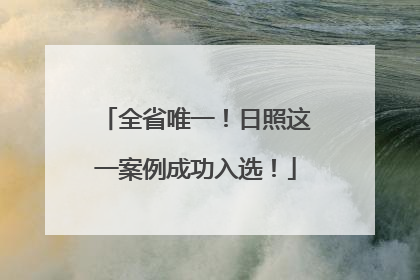 全省唯一！日照这一案例成功入选！