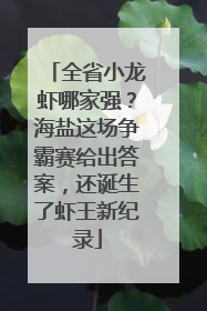 全省小龙虾哪家强？海盐这场争霸赛给出答案，还诞生了虾王新纪录