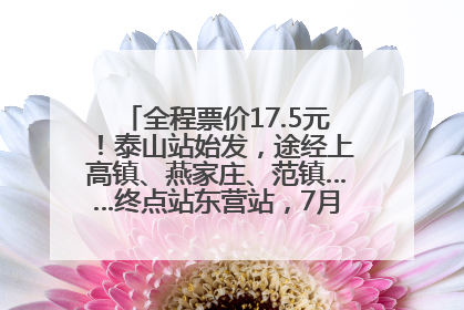 全程票价17.5元！泰山站始发，途经上高镇、燕家庄、范镇……终点站东营站，7月1日开通！