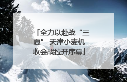 全力以赴战“三夏” 天津小麦机收会战拉开序幕