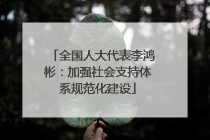 全国人大代表李鸿彬：加强社会支持体系规范化建设