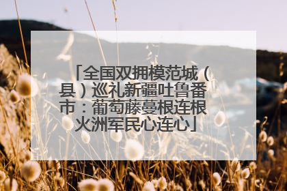 全国双拥模范城（县）巡礼新疆吐鲁番市：葡萄藤蔓根连根 火洲军民心连心