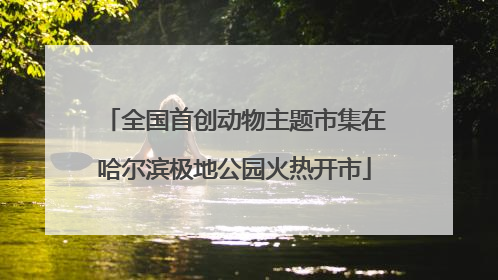 全国首创动物主题市集在哈尔滨极地公园火热开市
