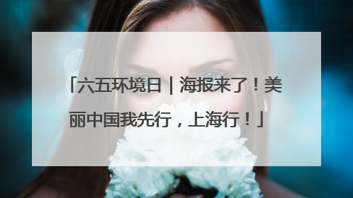 六五环境日｜海报来了！美丽中国我先行，上海行！