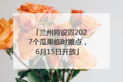 兰州将设置2027个瓜果临时摊点，6月15日开放