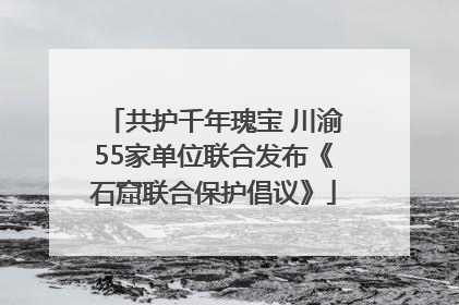 共护千年瑰宝 川渝55家单位联合发布《石窟联合保护倡议》