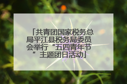 共青团国家税务总局平江县税务局委员会举行“五四青年节”主题团日活动
