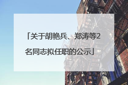 关于胡艳兵、郑涛等2名同志拟任职的公示