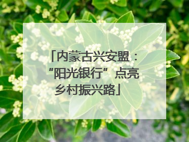 内蒙古兴安盟：“阳光银行”点亮乡村振兴路