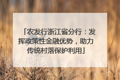 农发行浙江省分行：发挥政策性金融优势，助力传统村落保护利用