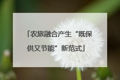 农旅融合产生“既保供又节能”新范式