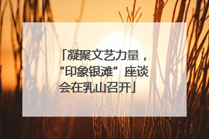 凝聚文艺力量，“印象银滩”座谈会在乳山召开