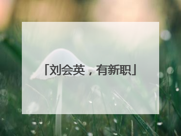 刘会英，有新职