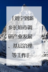 刘宁到新乡长垣市调研产业发展、基层治理等工作