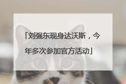 刘强东现身达沃斯，今年多次参加官方活动
