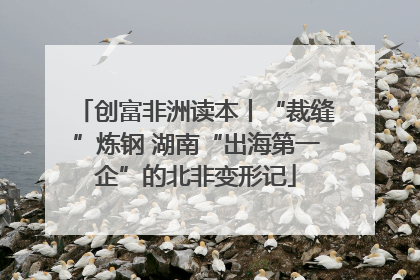 创富非洲读本丨“裁缝”炼钢 湖南“出海第一企”的北非变形记