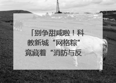 别争甜咸啦！科教新城“网格粽”竟藏着“消防与反诈秘籍”