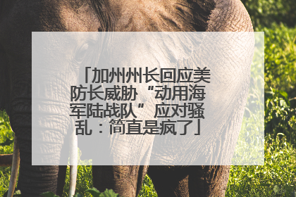 加州州长回应美防长威胁“动用海军陆战队”应对骚乱：简直是疯了