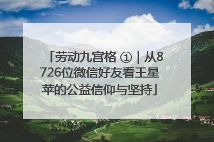劳动九宫格 ①｜从8726位微信好友看王星苹的公益信仰与坚持