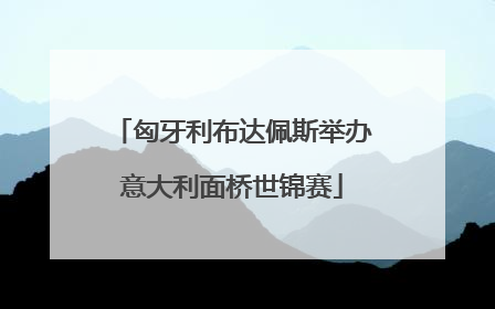 匈牙利布达佩斯举办意大利面桥世锦赛
